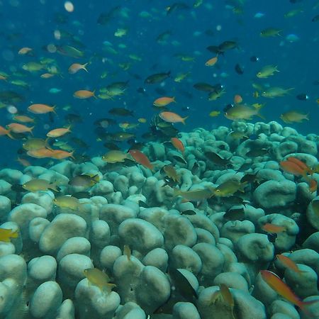 The High Dive Gili Gede By Ultimate Resorts المظهر الخارجي الصورة