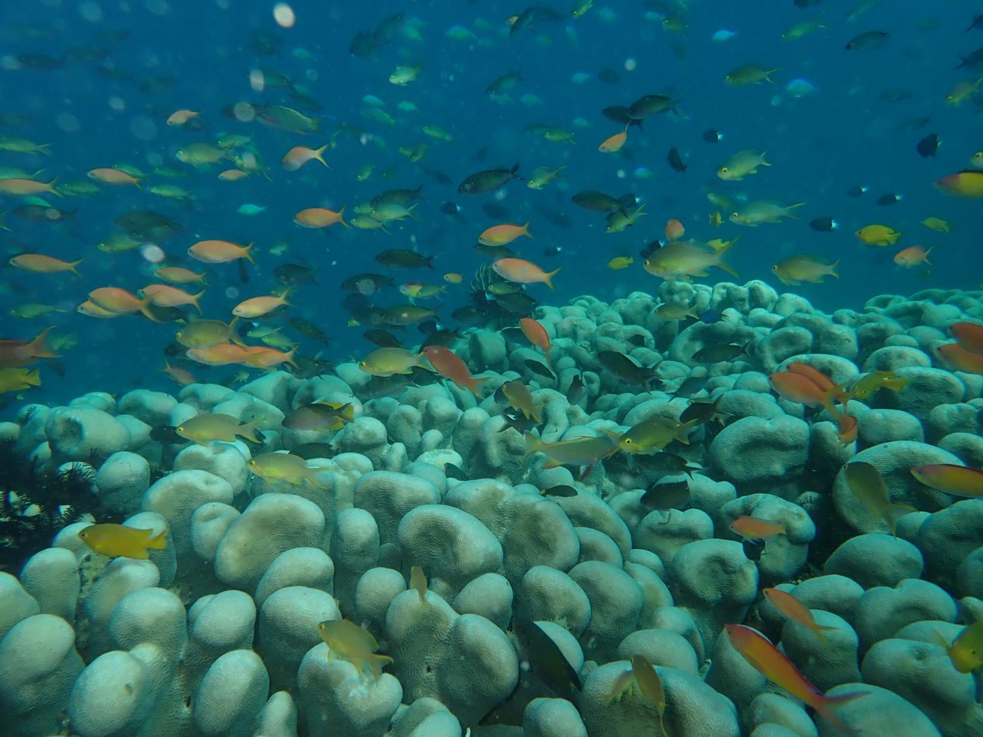 The High Dive Gili Gede By Ultimate Resorts المظهر الخارجي الصورة